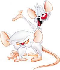 Pinky and the Brain Pictures, Images and Photos
