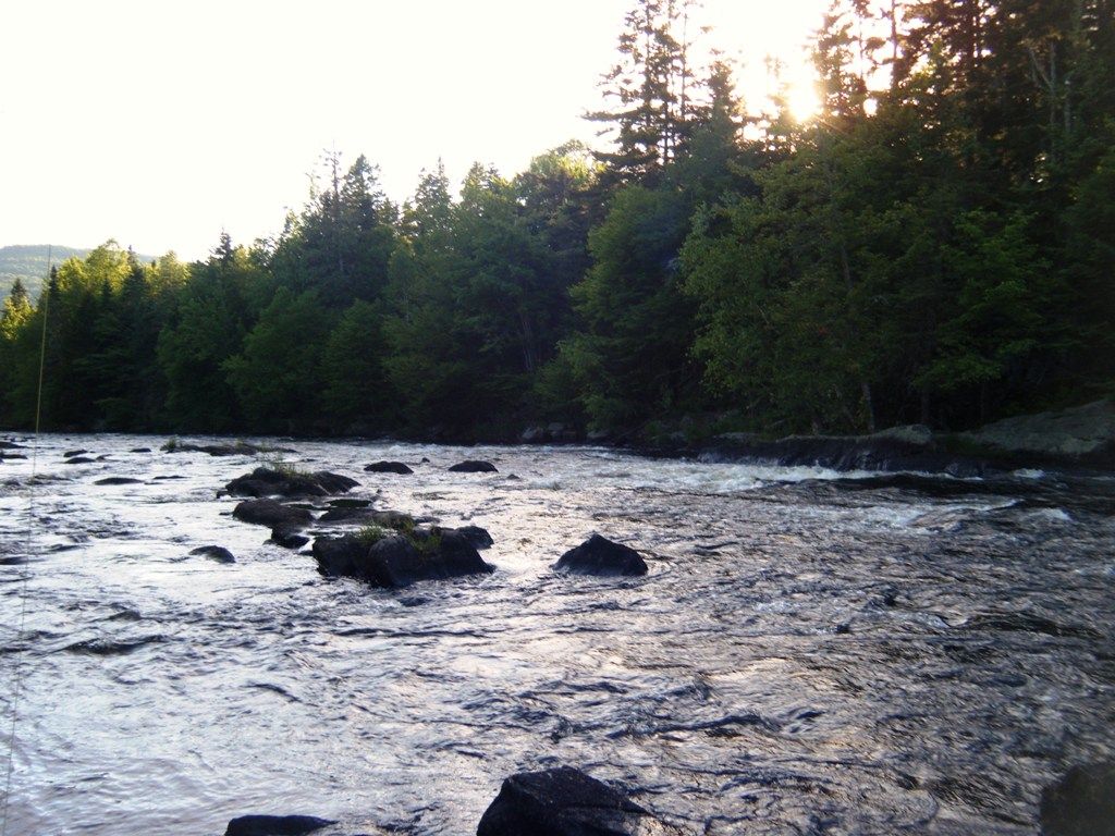 Posted Image