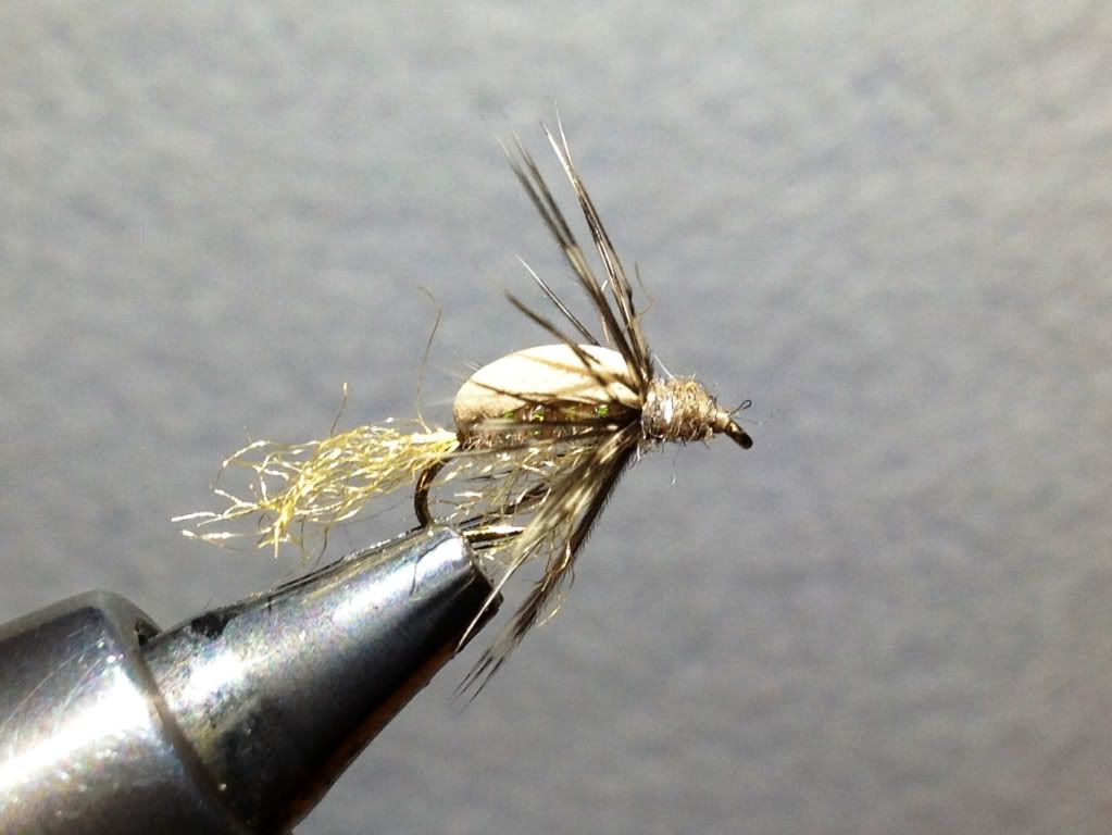 Bastian’s Floating Caddis Emerger Fly Tying Maine Fly Fish