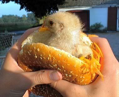 chickensandwich.jpg