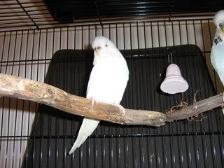 Picture004.jpg