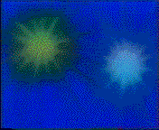 Moon_Sailor.gif Disguise Power image by CrystalDreams101