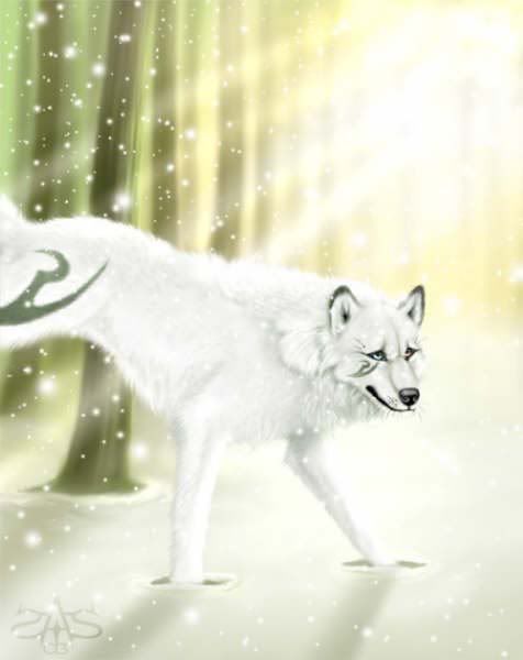 anime white wolf Pictures, Images and Photos