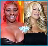 NeNe Leakes, What's-Her-Face to Get Spin-off Shows on Bravo: report