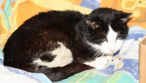 fundkater191110.jpg