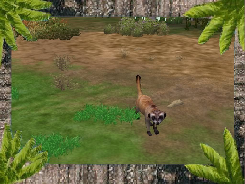 Zoo Tycoon 2 European Expeditions