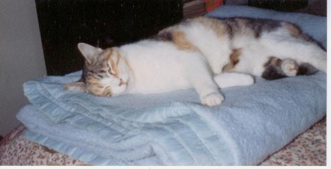 http://i230.photobucket.com/albums/ee307/edgarblythe/samantha.jpg