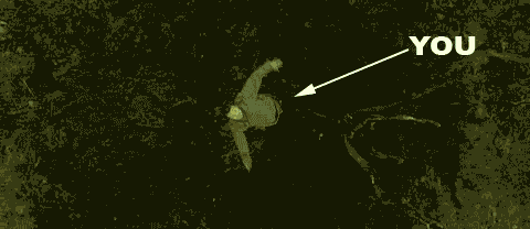 nicepost.gif nicepost image by Archie_Moore