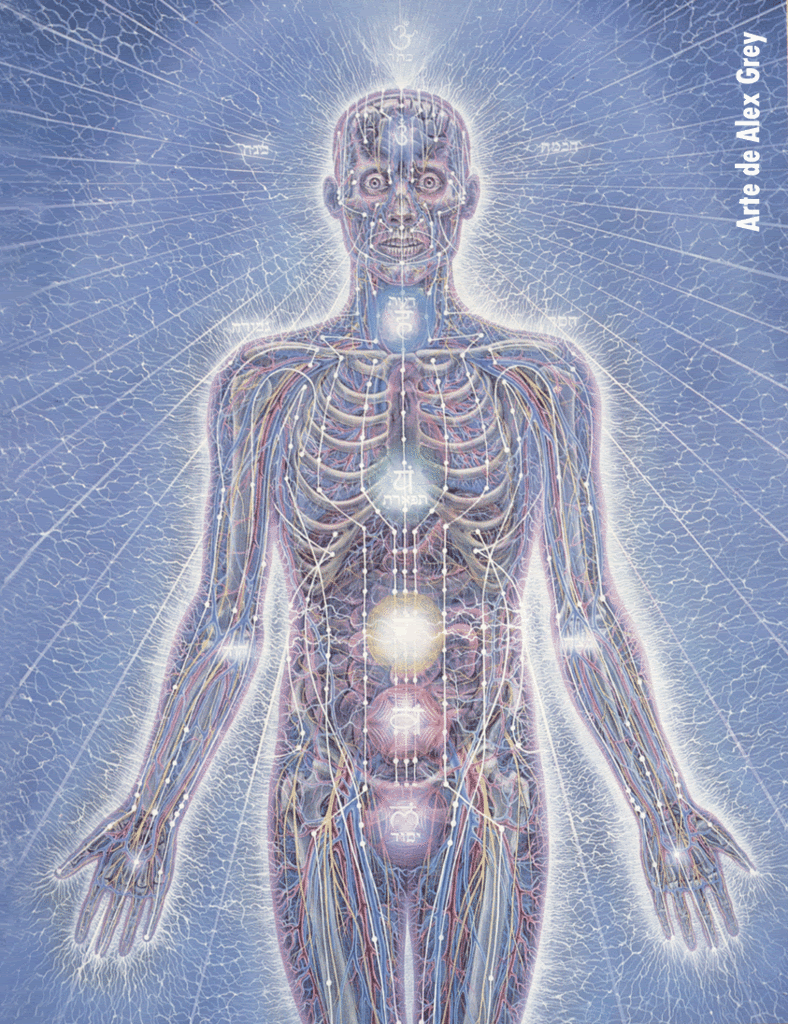 Chakras_AlexGrey.gif chakras image by captainlash