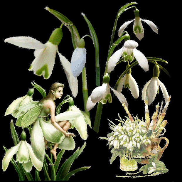 PERCENEIGE.gif picture by onidine