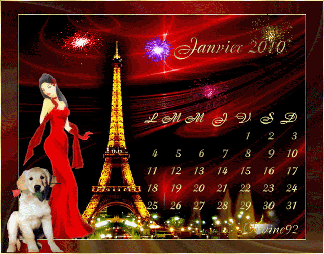 janvier2.gif picture by onidine