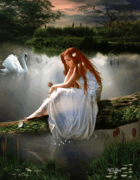 swanlake55.gif animated water with swan and lady image by zarinaAliesha