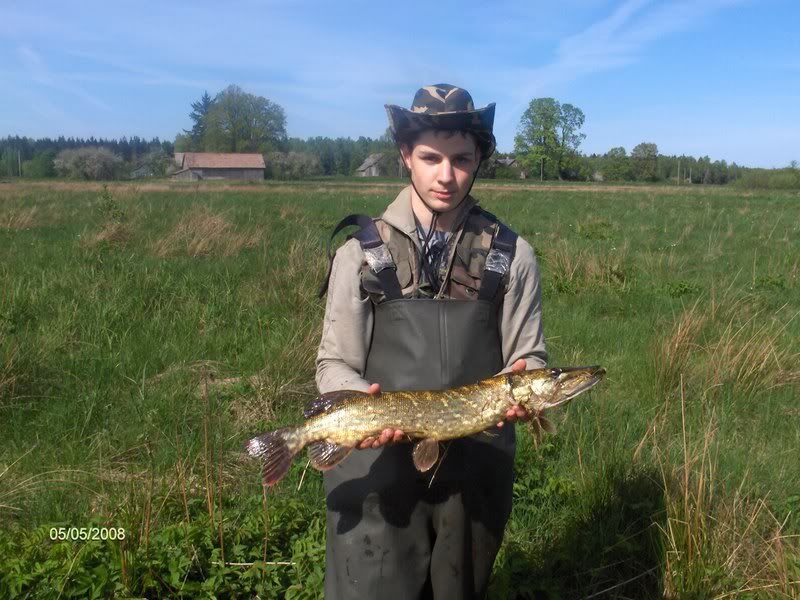 Paveikslėlis