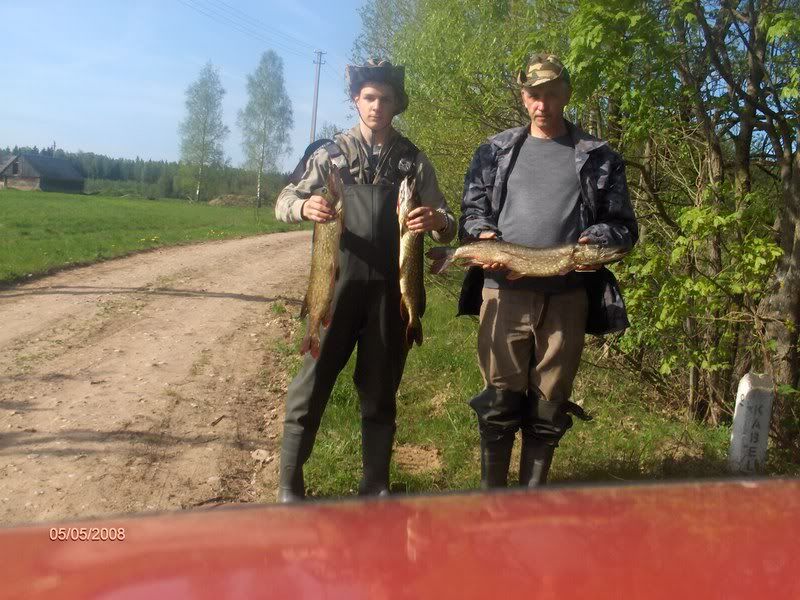 Paveikslėlis