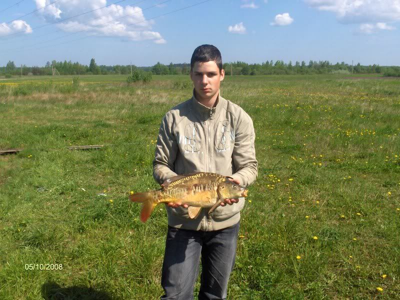 Paveikslėlis