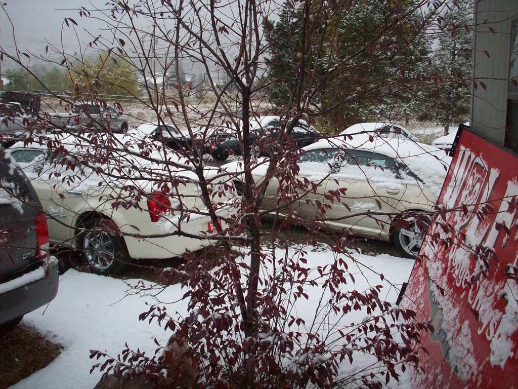 snow002.jpg