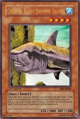shark.jpg