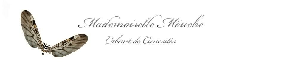 mademoiselle moüche Totocherry