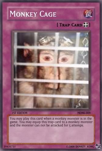 monkey-cage-01jpgset1MONKset2009typ.jpg