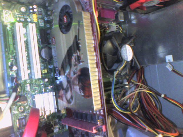 Photo-0002.jpg