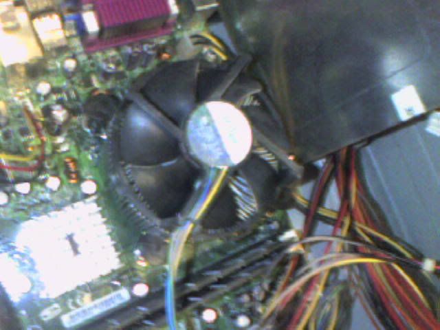 Photo-0003.jpg