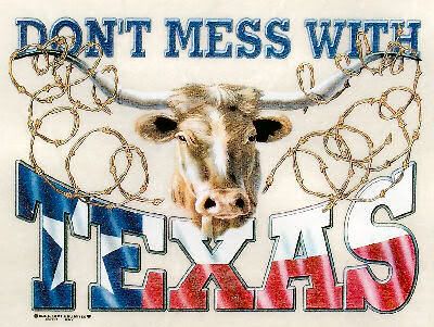 dont_mess_with_texas_barbedwire.jpg