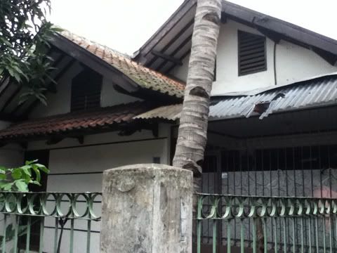 Kelebihan Lantai Kayu on Tampak Depan Asbes Jebol Kena Kelapa Jatoh Gan Ada Pohon Kelapa