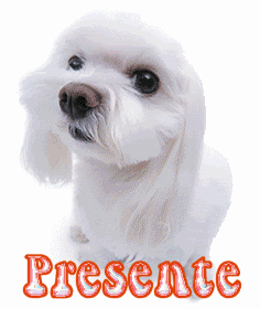 presenteGOS.gif picture by sendo1