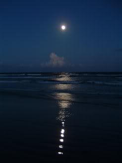 Night Beach Scene