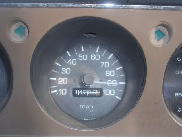 620Speedo.jpg