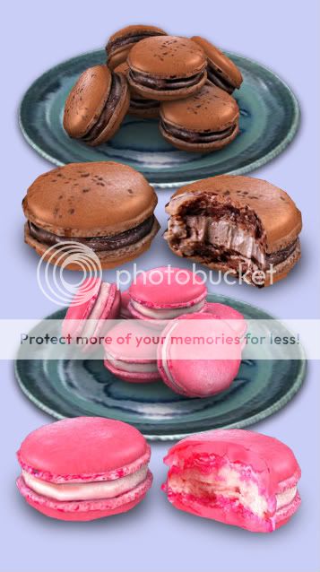 http://i230.photobucket.com/albums/ee1/oolong_bunneh/xnm_food_macarons001-002.jpg