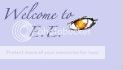 E.E. Everyone Else banner