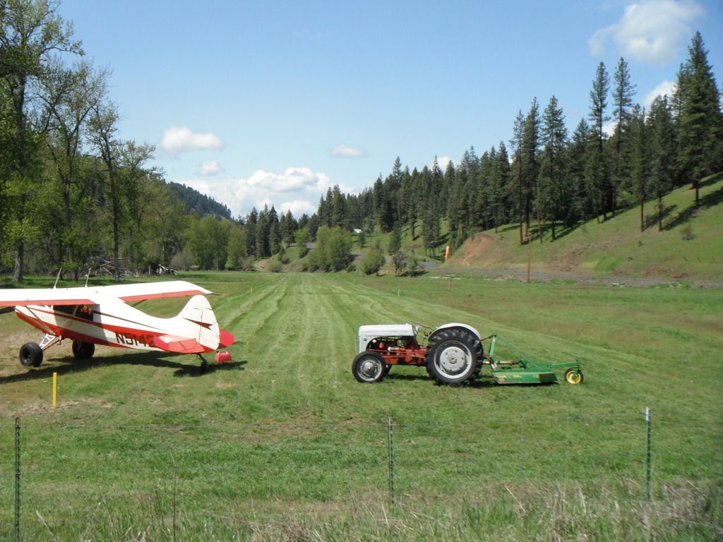grass strip runway Grass strip runway