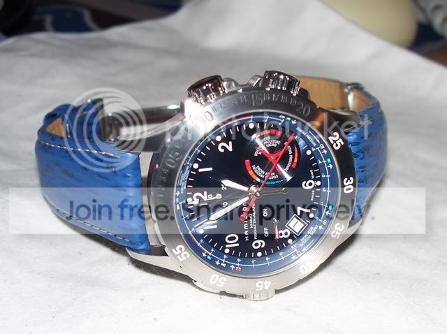 hamilton divers