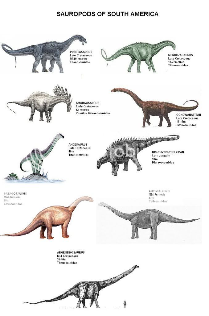 Sauropods Of South America Photo by 4EverEden2 | Photobucket