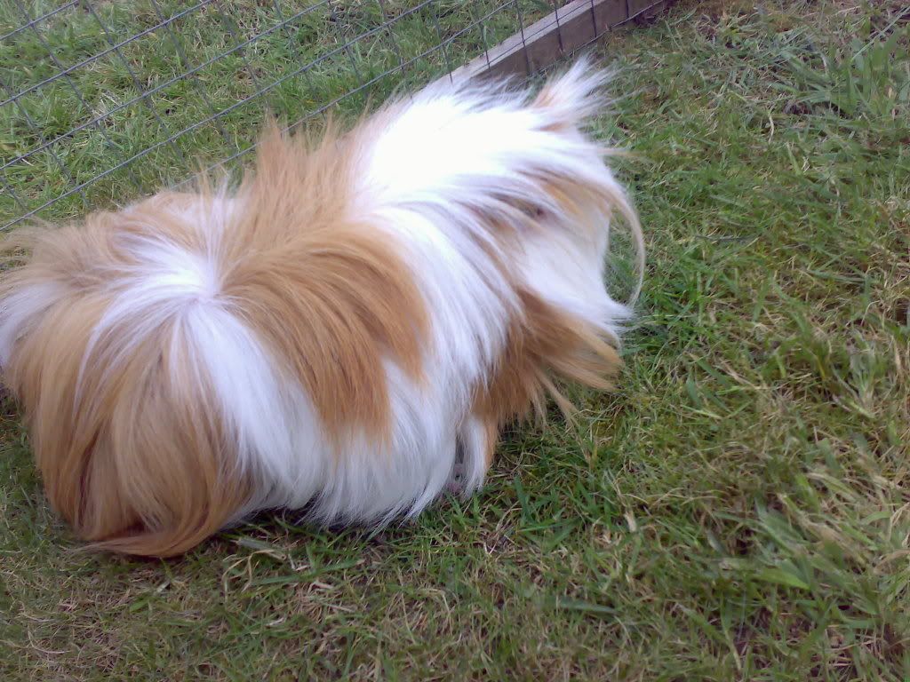 09042007053.jpg