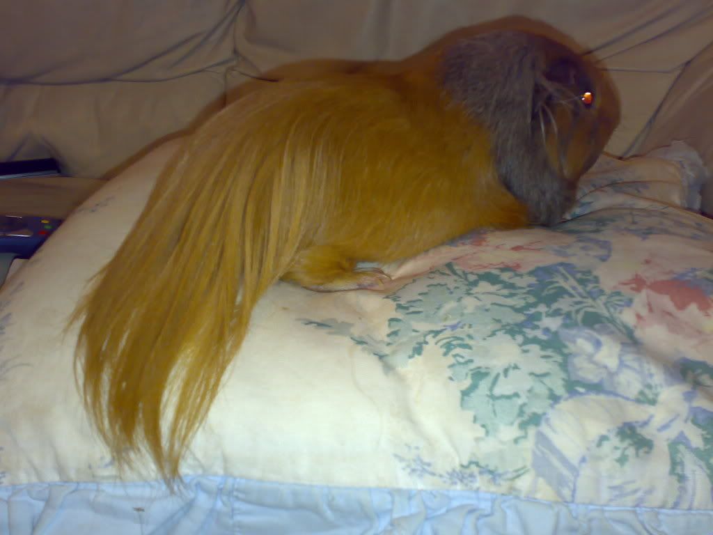 14062007019.jpg