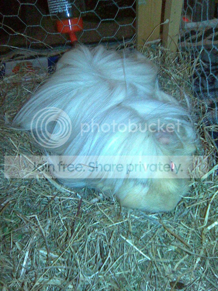 NigelSpring2009.jpg