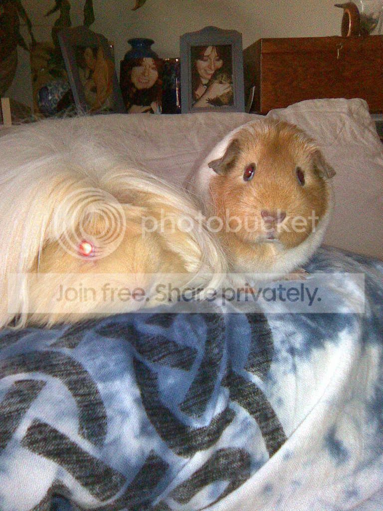 NigelandLilyII.jpg