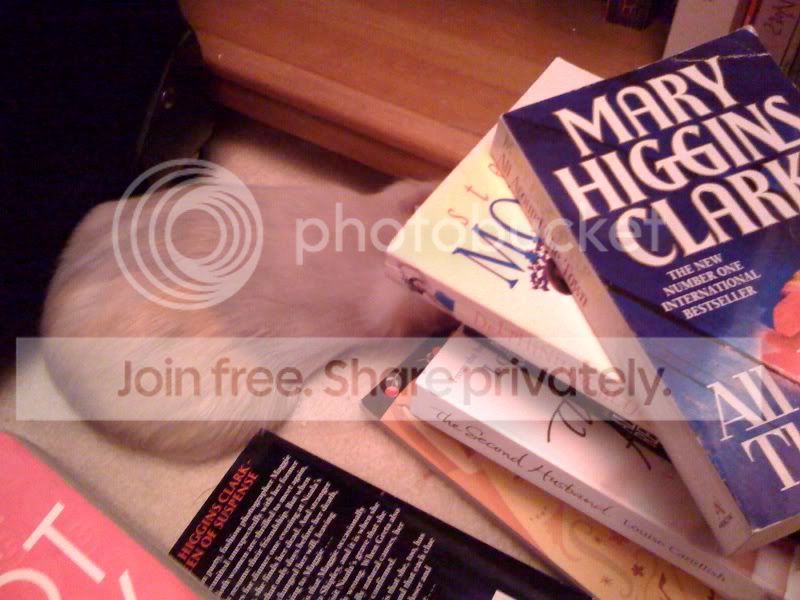Popswithbooks.jpg