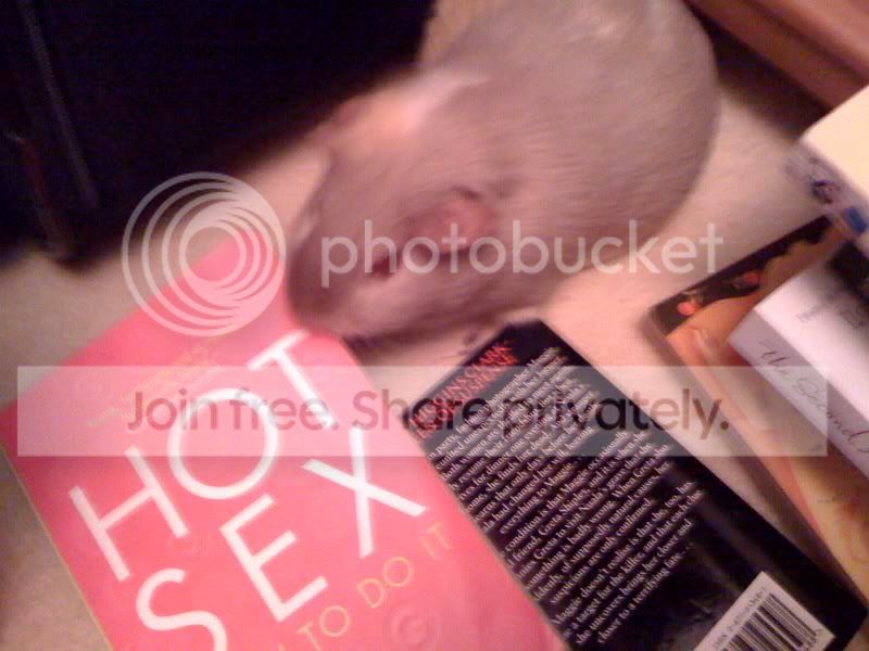 Popswithbooks2.jpg