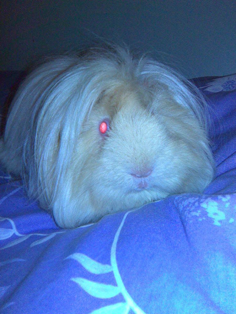 RiffandNigel003.jpg