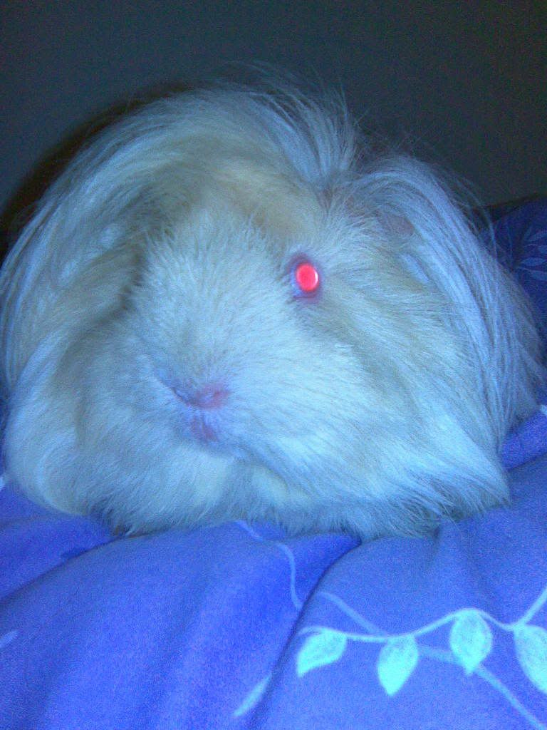 RiffandNigel005.jpg