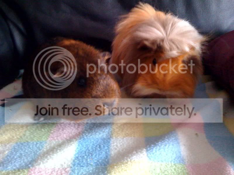 moresheilaandcherry2.jpg