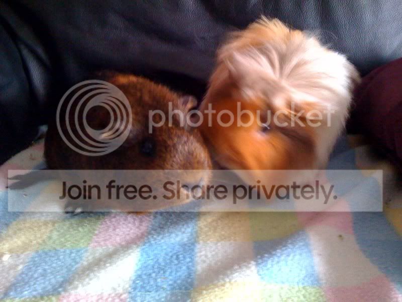 moresheilaandcherry3.jpg