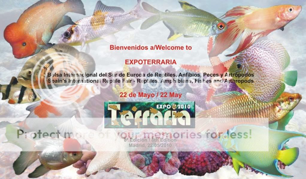 Expoterraria_Peces
