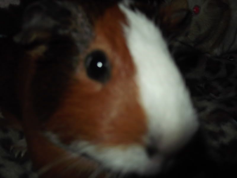 009-29.jpg