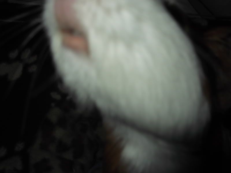 011-23.jpg