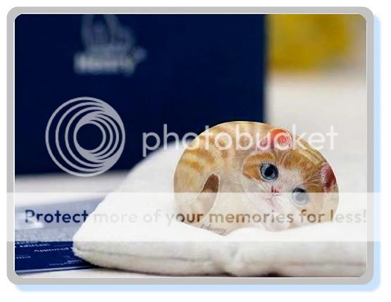 主题: 台湾石头彩绘艺术《石头猫》