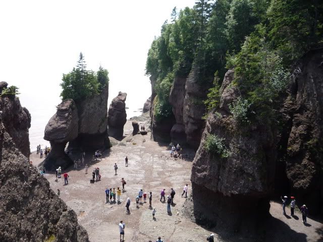 Bay of Fundy - Hopewell Rocks